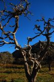 dsc_7861.jpg